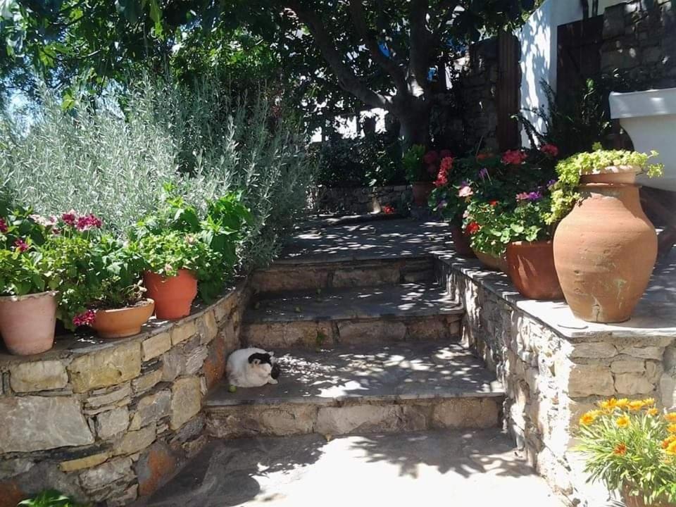 Villa Panayiota Alónnisos Exterior foto