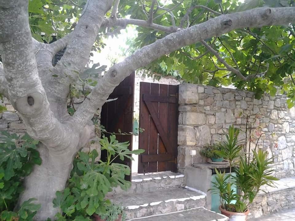 Villa Panayiota Alónnisos Exterior foto