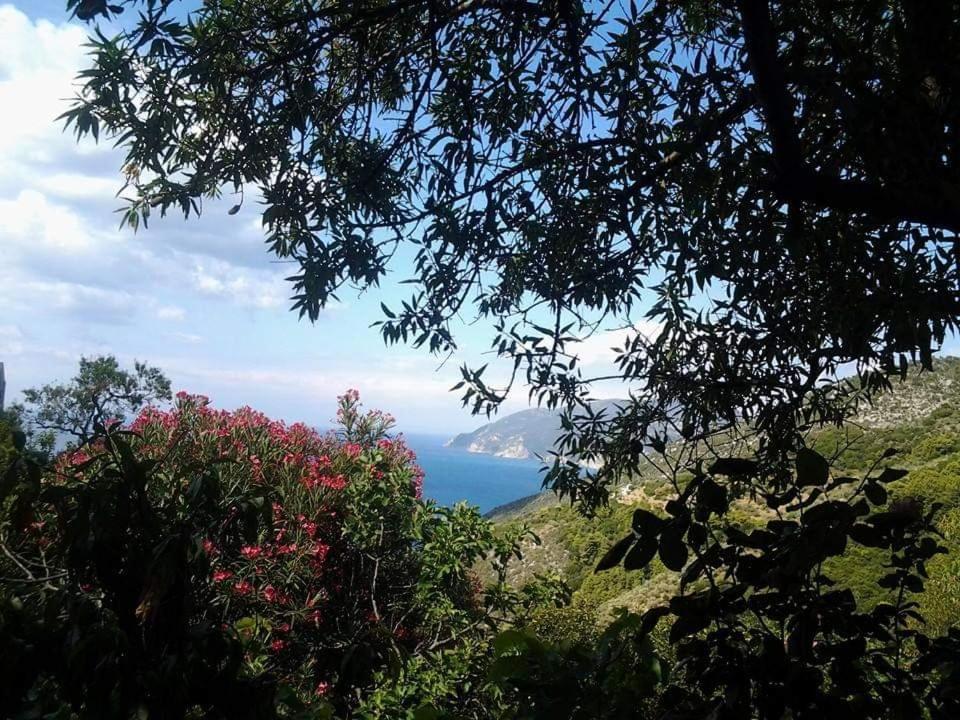 Villa Panayiota Alónnisos Exterior foto